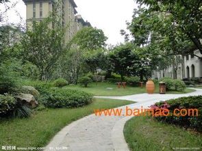 合肥园林绿化 打造生态城市，共建绿色家园